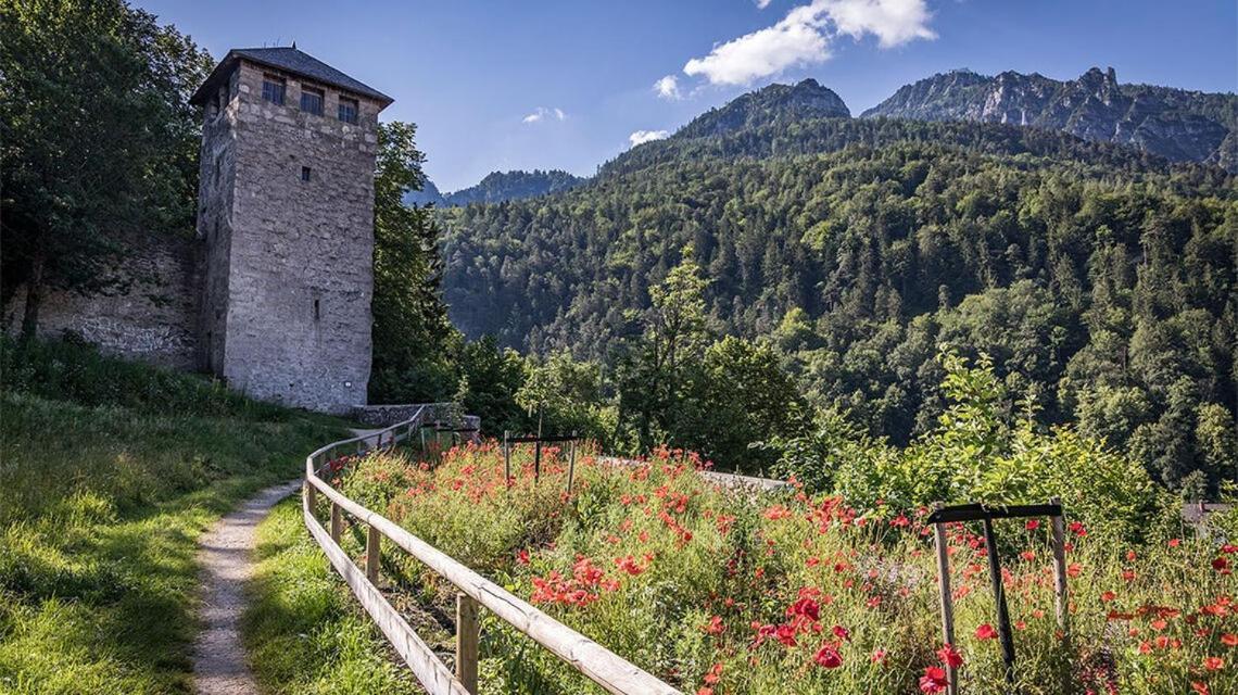 Ferienwohnungen Brigitte In Der Altstadt Bad Reichenhall Exteriör bild